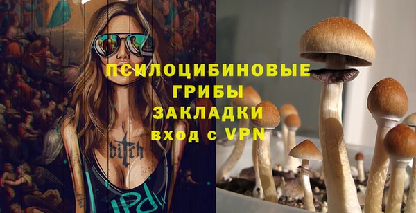 хмурый Балахна