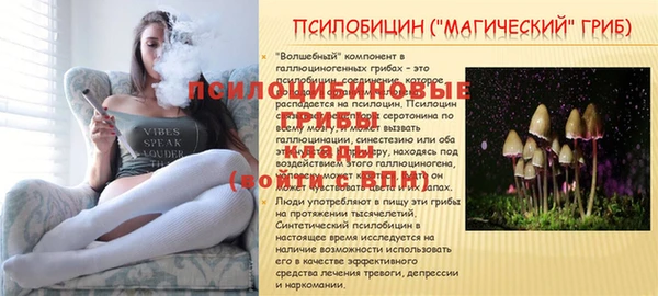 хмурый Балахна