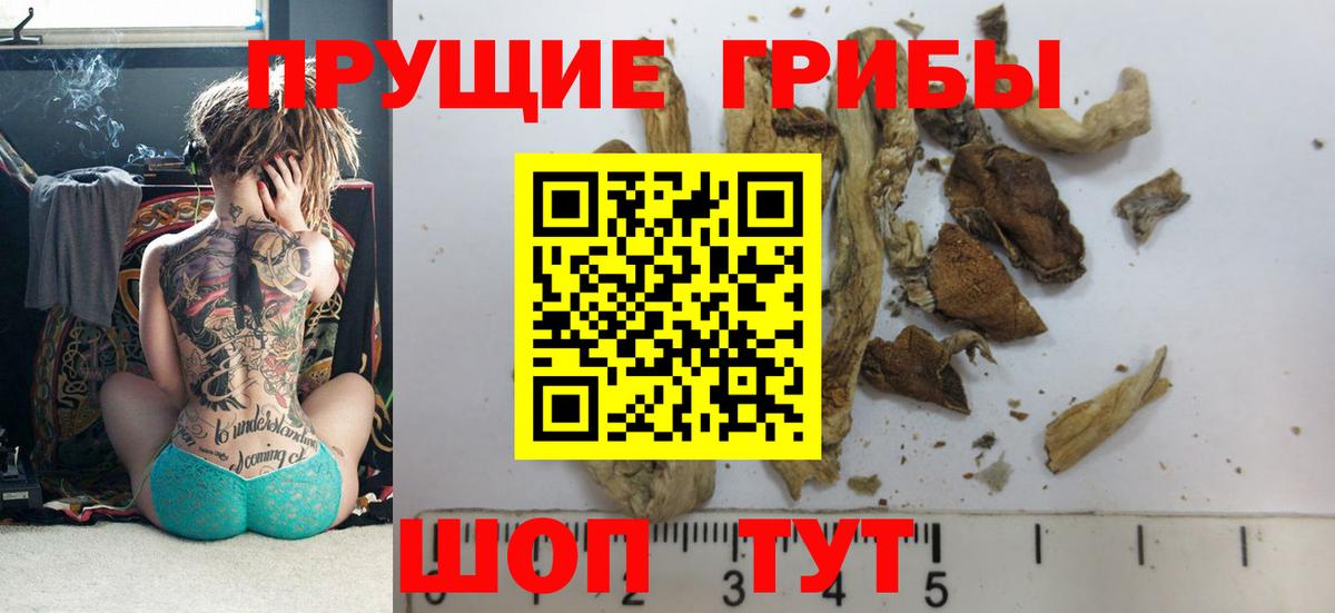 Галлюциногенные грибы Cubensis  Вход с VPN  Псилоцибиновые грибы Magic Shrooms  Мурманск 